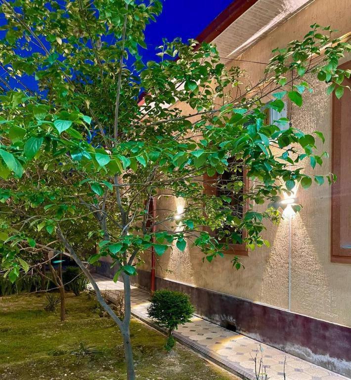Hotel Amor Fati Tashkent Esterno foto